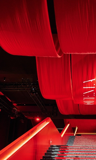 Номинации 2025